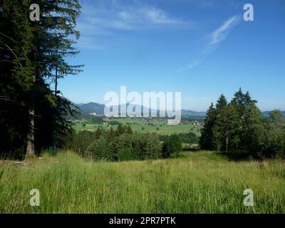 Bergwanderung zum Tegelberg, Bayern, Deutschland Stockfoto