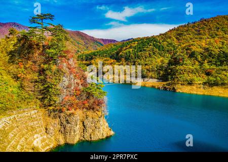 Okaw 4000 Herbstblätter Stockfoto