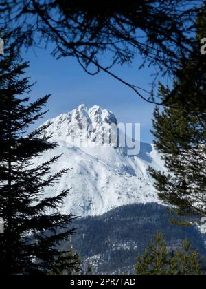 Winterwanderung zum Pleisenspitze-Berg, Tirol, Österreich Stockfoto