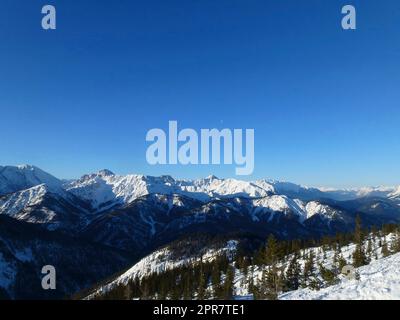 Winterwanderung zum Pleisenspitze-Berg, Tirol, Österreich Stockfoto