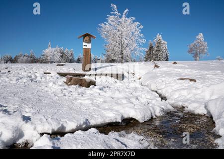 WINTERBERG, 13. FEBRUAR 2021: Quelle der Lenne auf dem Gipfel des Kahler Asten im Winter am 13. Februar 2021 in Winterber Stockfoto