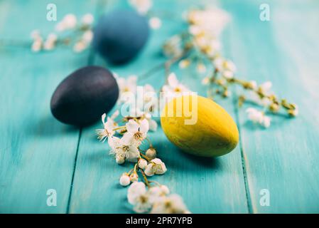Ostereier und Frühlingsblüten Stockfoto