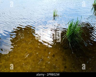 Detaillierte Nahaufnahme auf Wasserflächen mit Wellen und Sonnenlicht, das an der Oberfläche reflektiert wird Stockfoto