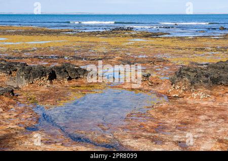 Ebbe am Dodds Creek Beach - Flinders, Victoria, Australien Stockfoto