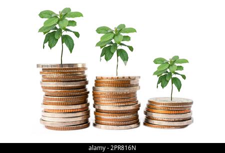 Sparen Sie Geld Baum wächst auf Münzen in Plastikflasche, Business Finance Investitionskonzept. Stockfoto