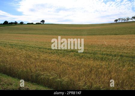 Blick auf den Heckengaeu bei Weissach Stockfoto