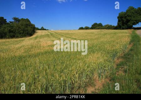 Blick auf den Heckengaeu bei Weissach Stockfoto