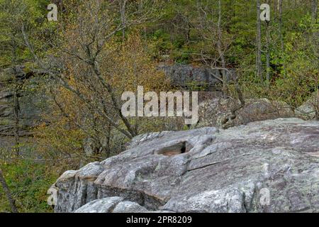Sie stehen am Rand einer Klippe und blicken über die Felswand mit Bäumen, die an den Seiten wachsen und oben mit Laub, das im Frühling auftaucht Stockfoto