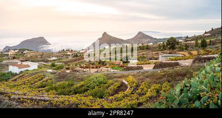 Panoramablick auf die Berggipfel von Roque del Conde, Roque Imoque und Roque de los Brezos mit einem atemberaubenden Vordergrund aus Weinbergen und Kakteen. Stockfoto