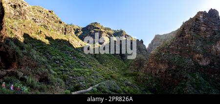 Wanderer auf einem geheimnisvollen Abenteuer durch das üppige Grün und die felsigen Klippen der Schlucht Barranco del infierno, der Höllenschlucht, in Adeje Teneriffa. Stockfoto