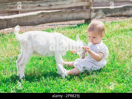 Ein wunderschönes Baby in einem Sonnenkleid spielt mit Ziegenbären auf dem Bauernhof Stockfoto