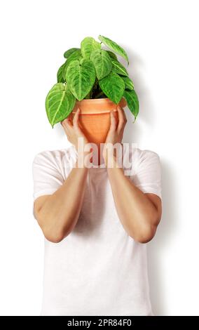 Person mit Topfpflanze statt Kopf. Plantsman ist ein Lebensretter. Stockfoto