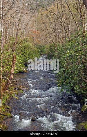 Rauschendes Wasser in einem Bergbach Stockfoto