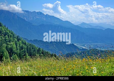 Österreich, Tirol, Inn Flusstal, Wilder Kaiser Berge, zentrale alpen, Blumenwiese, Landschaft, Blick vom Kranzhorn Berg Stockfoto