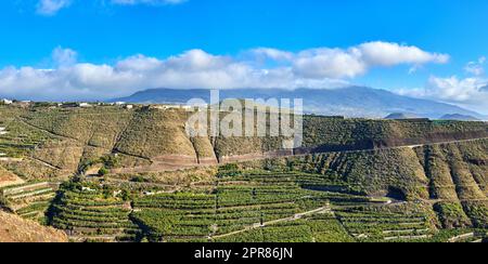 Panoramablick auf Bananenplantagen rund um Los Llanos, La Palma in Spanien. Abgelegenes Ackerland auf dem Land vor blauem Himmel. Abgeschiedene Berge in einer verlassenen Stadt mit Kopierraum Stockfoto