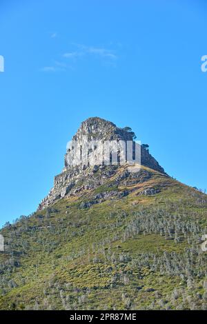 Lions Head Mountain an einem klaren Tag vor dem blauen Himmel Kopierraum. Ruhige Schönheit in der Natur an einem friedlichen Vormittag in Kapstadt mit Blick auf einen Gipfel und seine pulsierende grüne Pflanze Stockfoto