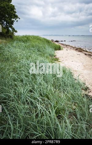 Malerischer Strandblick von der Ostsee. Stockfoto