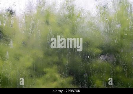 Starker Regen. Regentropfen auf dem Fensterglas an einem Sommertag. Selektiver Fokus, geringe Tiefenschärfe. Wassertropfen fallen auf ein nasses Fenster. Glas voll mit Tropfen während eines Regengusses. Stockfoto