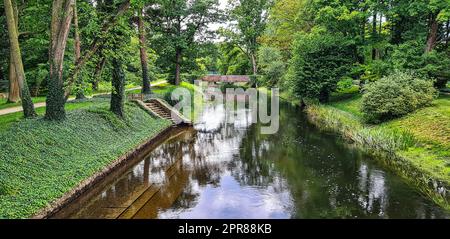 Utrata River im polnischen Park - Zelazowa Wola, Masovia, Polen Stockfoto