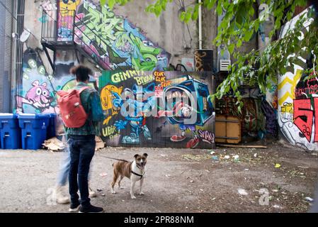 Toronto, Ontario/Kanada - 24. September 2022: Eine Frau führt einen Hund mit farbenfrohem Graffiti-Hintergrund Stockfoto