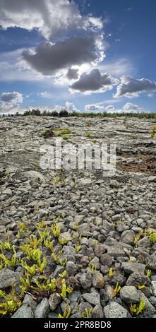 Landschaft mit gekühltem Lavafluss und Kopierraum, Big Island, Hawaii. Malerischer Blick auf Mauna Kea, einen ruhenden Vulkan in einem abgeschiedenen offenen Ort. Blauer wolkiger Himmel in der Nähe von Steinboden Gipfel eines vulkanischen Landes Stockfoto