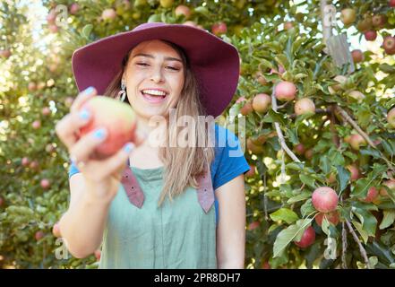 Eine schöne junge Frau, die einen Apfel auf einem Bauernhof hält. Glückliche Frau pflückt Äpfel in einem Obstgarten. Frische Obsterzeugnisse, die auf einem Ackerland angebaut werden. Die Agrarindustrie produziert in der Erntesaison Stockfoto