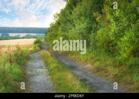 Ländlich schmale, gerade Schotterstraße. Wunderschöner Landschaftsblick auf eine Reihe von Bäumen und einen Pfad im Wald. Schmale Schotterstraße durch bunten Bäume mit vielen Blättern auf dem Boden. Stockfoto