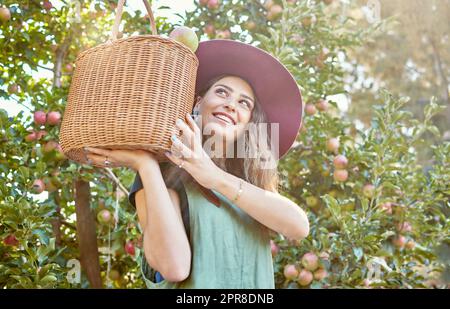 Ein glücklicher Bauer, der an sonnigen Tagen von unten einen Korb mit frisch gepflückten Äpfeln vom Baum auf einer nachhaltigen Obstplantage im Freien hält, ein fröhlicher Bauer, der saftige nahrhafte organische Früchte in der Saison erntet Stockfoto