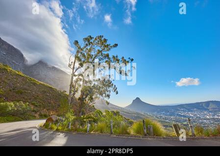 Landschaft einer malerischen Straße an einem Berghang in der Nähe eines nicht kultivierten Waldlands auf dem Tafelberg, Kapstadt. Wälder mit hohen Bäumen, die an einem Hang in Südafrika wachsen, mit Blick auf die natürliche Landschaft Stockfoto