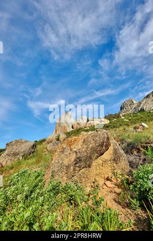 Pflanzen und Sträucher wachsen an einem felsigen Berghang vor einem wolkigen blauen Himmelshintergrund mit Kopierraum von unten. Niedriger Winkel der malerischen Landschaft mit einem zerklüfteten Hügel und Klippen in einer natürlichen Umgebung Stockfoto