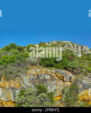 Blumen, Pflanzen und Bäume auf dem Berg in Südafrika, Westkap. Landschaftsblick auf Vegetation, Grün und Gras, das auf Felsen in der Natur wächst. Wunderschöne Landschaft in einer natürlichen Umgebung Stockfoto