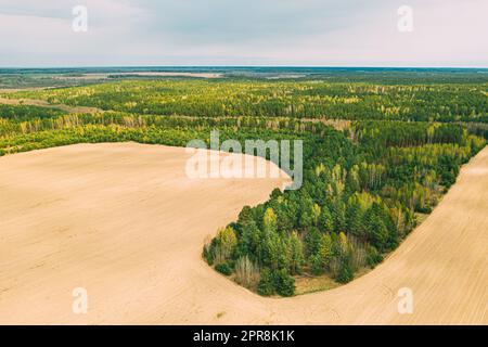 Luftaufnahme Der Landwirtschaftlichen Landschaft Von Oben Mit Wachsenden Waldbäumen An Der Grenze Zum Feld. Wunderschöne ländliche Landschaft mit Blick aus der Vogelperspektive. Frühlingsfeld Mit Leerem Boden Stockfoto