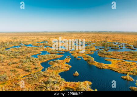 Bezirk Miory, Region Witebsk, Belarus. Der Yelnya-Sumpf. Berggebiete Und Übergangsmoore Mit Zahlreichen Seen. Erhöhter Blick Auf Das Naturschutzgebiet Yelnya. Berühmtes Naturdenkmal Stockfoto