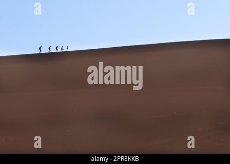 Touristen klettern auf Sanddünen, Sossusvlei, Namib-Wüste, Namib-Naukluft Park, Namibia Stockfoto