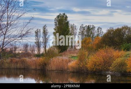 Farbenfrohe Herbstwälder an einem Fluss. Wunderschöne Naturlandschaft eines Sees mit ruhigem Wasser in der Nähe von üppigen Bäumen und Büschen. Biologisch vielfältige Forstwirtschaft mit hellgelben, orangefarbenen und grünen Blättern Stockfoto