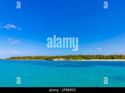 Wunderschöner tropischer natürlicher Strand und Waldpanorama Contoy Island Mexiko. Stockfoto