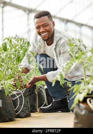 Jede Pflanze braucht eine individuelle Pflege. Ganzkörperaufnahme eines hübschen jungen Mannes, der auf seiner Farm arbeitet. Stockfoto