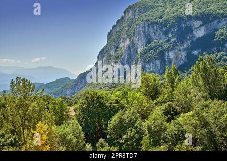 Lebhaftes Grün mit Pflanzen auf einem Berg in einer abgeschiedenen Landschaft. Friedliche Landschaft mit sanften Hügeln. Grüngras und Büsche wachsen in der Natur in einer hügeligen und bergigen Landschaft. Stockfoto