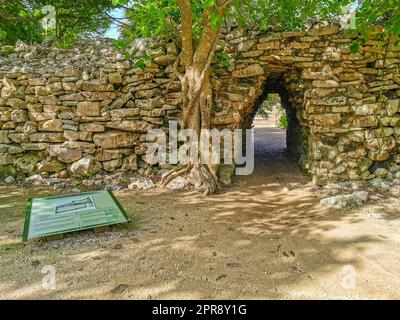 Tulum Ruinen Maya Tempel Pyramiden Informationsschild an Bord Mexiko. Stockfoto