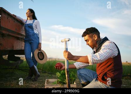 Zwei Bauern, die auf einem Feld arbeiten. Junger Mann mit gemischter Rasse und brünette Frau, die auf ihrem landwirtschaftlichen Land zusammenarbeiten. In der Erntesaison gibt es immer die besten Bio-Produkte Stockfoto