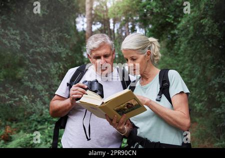 Ein älteres kaukasisches Paar benutzte Ferngläser und ein Buch, während es während einer Wanderung Vögel in einem Wald beobachtete. Reifer Ehemann und Ehefrau erkunden in einem Wald Stockfoto