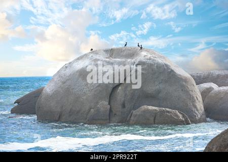 Malerischer Blick auf einen Strand mit Felsen oder Felsen und Meerwasser. Die Landschaft einer felsigen Küste im Frühling. Ein großer Felsen in der Mitte des Ozeans mit Vögeln und blauem Himmel im Sommer. Stockfoto