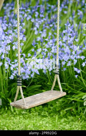 Alte Holzschaukel in einem Garten mit blauen Blumen und Gras in einem üppigen Garten. Friedliche Szene eines vergessenen Kinderspielplatzes mit lebhaften wilden Blauen Glocken und überwuchertem Rasen im Frühling mit Kopierbereich Stockfoto