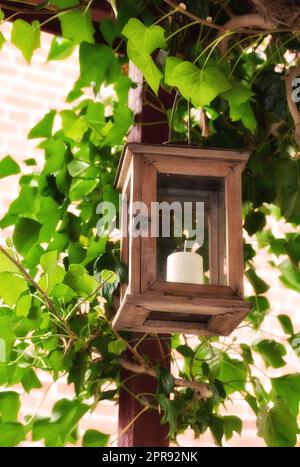 Brennende Kerze in einer Laterne, umgeben von grünen Blättern im Garten oder auf der Terrasse. Holzrahmen hängt vom Dach für Dekoration und Wärme in einem Outdoor Entertainment-Bereich mit üppigen Pflanzen Stockfoto