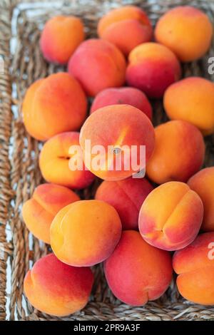 Ein großer Haufen reifer, leuchtend orangefarbener Aprikosen liegt nahe auf einem Weidenblech. Stockfoto