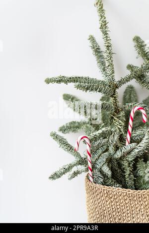 Dekorierter Weihnachtsbaum mit Zuckerstangen. Vorbereitung auf Weihnachten und Neujahr 2023-2024. Platz für eine Inschrift. Stockfoto