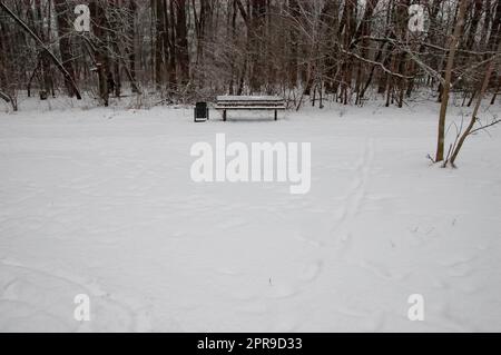 Eine einsame Bank mit einem Papierkorb mitten in einem verschneiten Wald Stockfoto