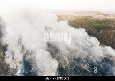 Luftaufnahme. Trockenes Gras Brennt Bei Dürre Und Heißem Wetter. Bush Fire And Smoke In Meadow Field. Wild Open Fire Zerstört Gras. Natur In Gefahr. Umweltproblem Luftverschmutzung. Naturkatastrophe Stockfoto