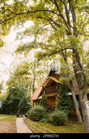 Tourist Guest House Zum Ausruhen. Wooden House In Forest Am Sonnentag Im Herbst. Wooden Boarding Path Way Pathway Führt Zum Tourist House. Resort In Wooden Guest House Stockfoto