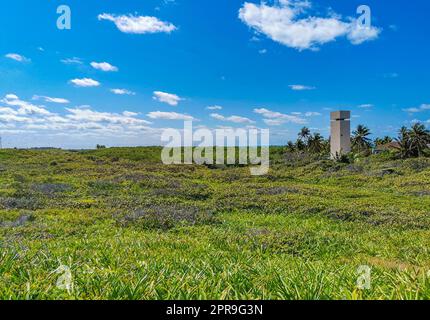 Wunderschöner tropischer natürlicher Strand und Waldpanorama Contoy Island Mexiko. Stockfoto